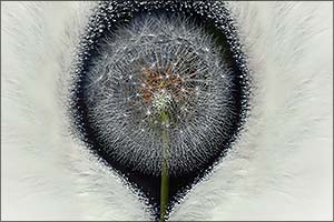 wallapaper_4