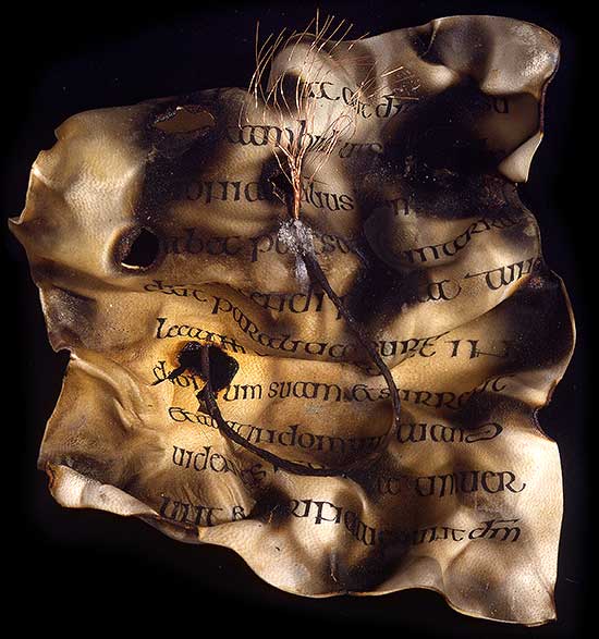 Burnt Parchment by Denis Brown
