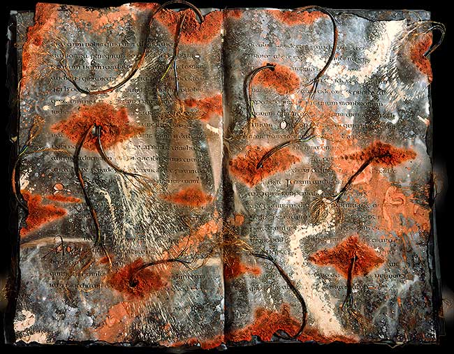 Mixed media book art by Denis Brown