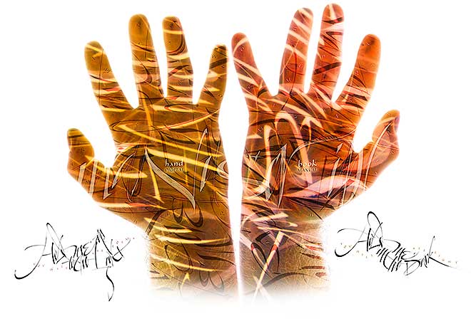 Hand-Book by Denis Brown