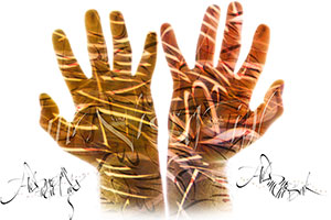 "Hand Book" special edition