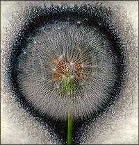 Another work from the series