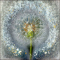Another work from the series