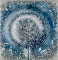 Another work from the series