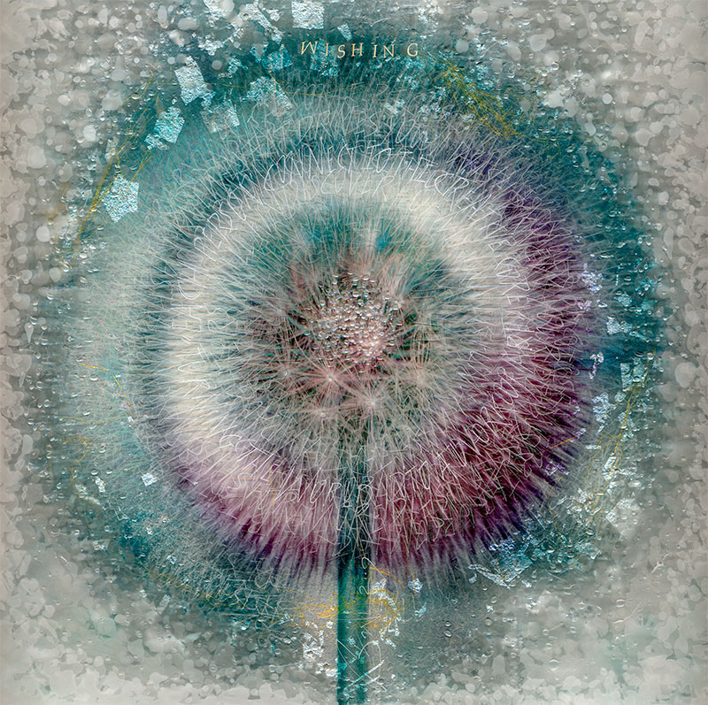 Glass art by Denis Brown