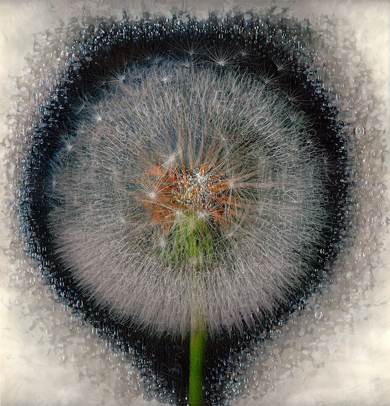 Calligraphy in Glass by Denis Brown