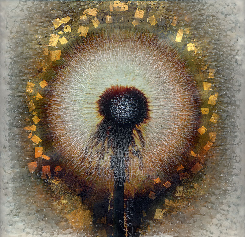 Calligraphy in Glass by Denis Brown