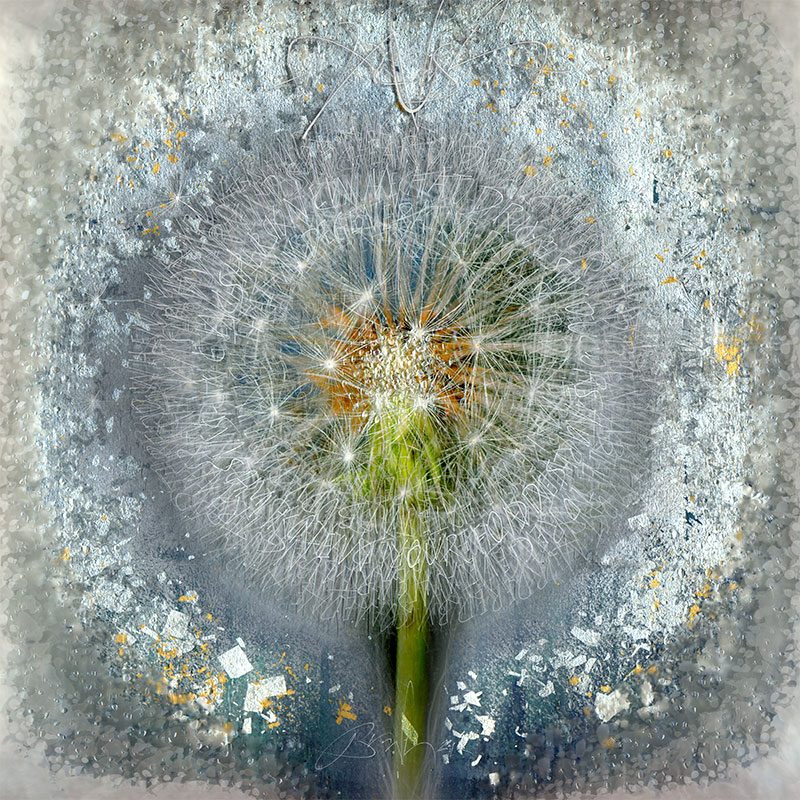 Calligraphy in Glass by Denis Brown